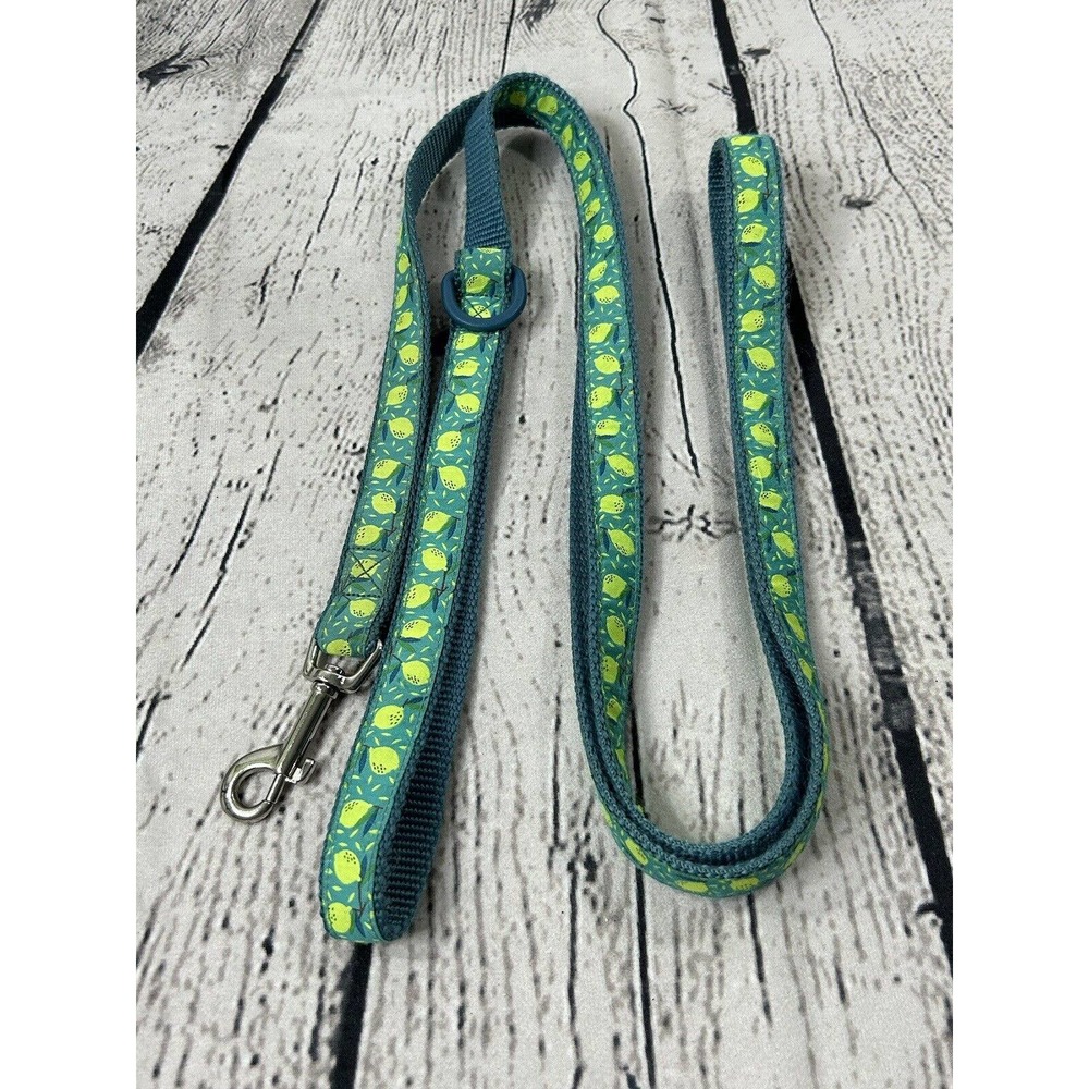 RC Pets Dog Leash 3/4" x 6' Lemonade